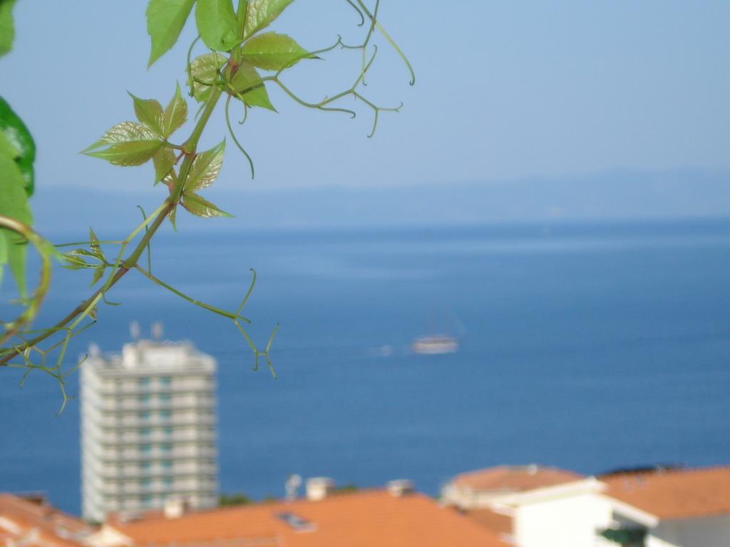 Milic Apartment