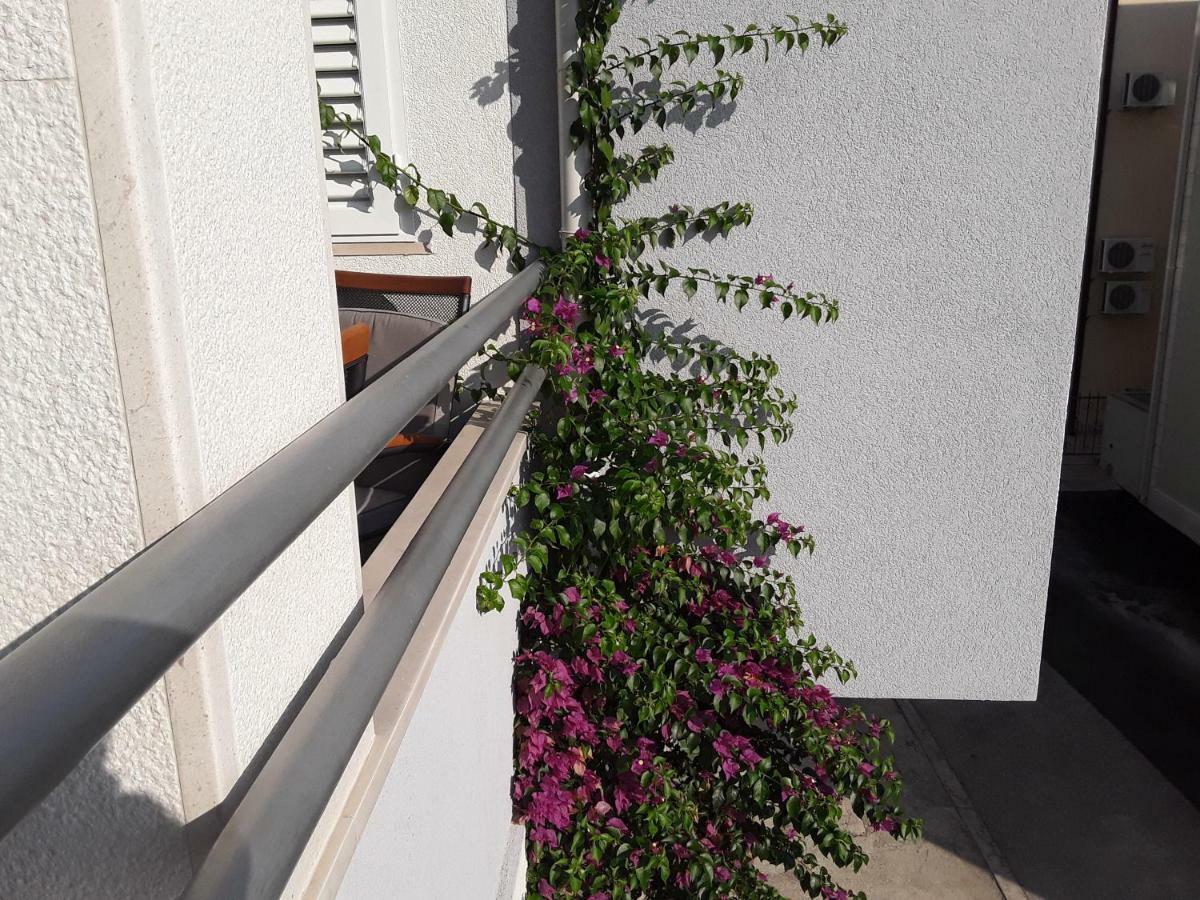 Apartment Milic *